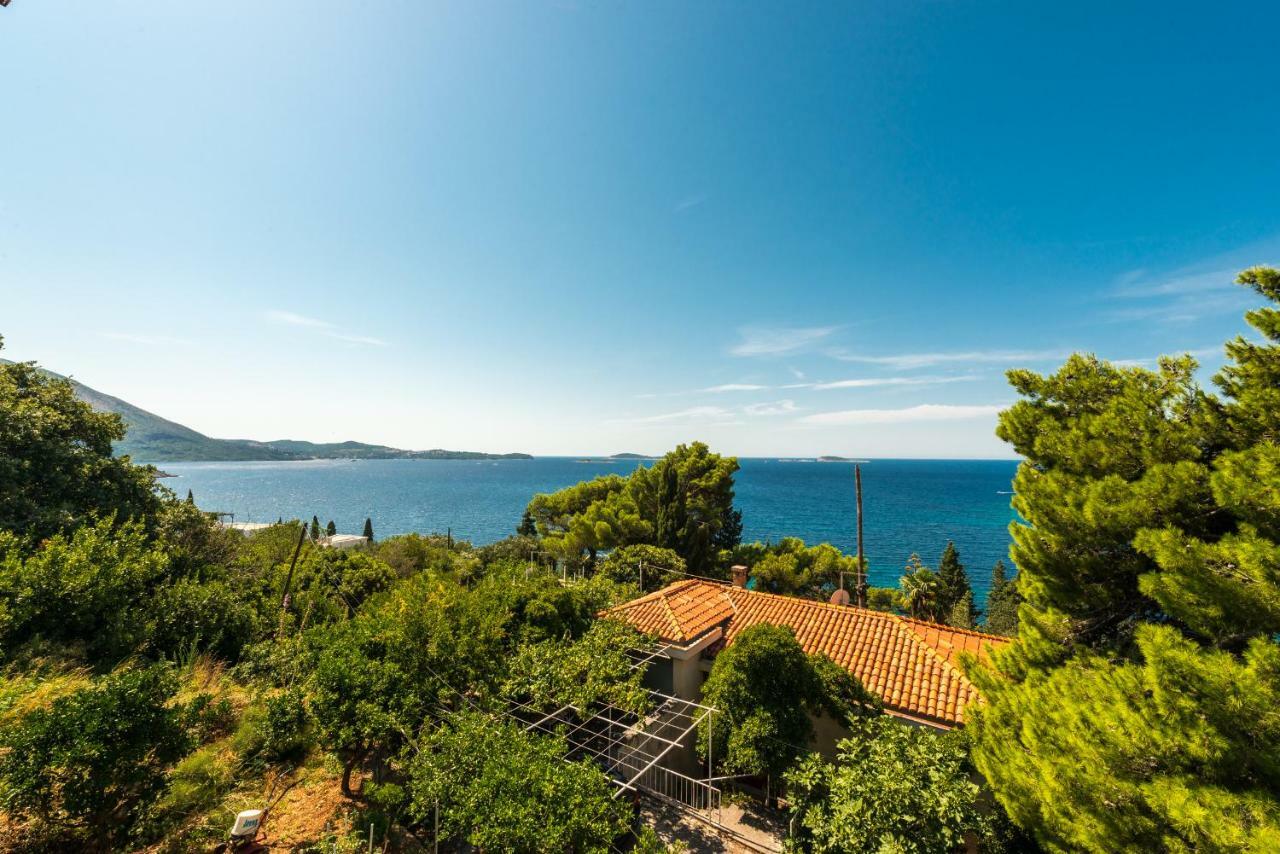 Luxury Apartment Bobara Mlini Buitenkant foto